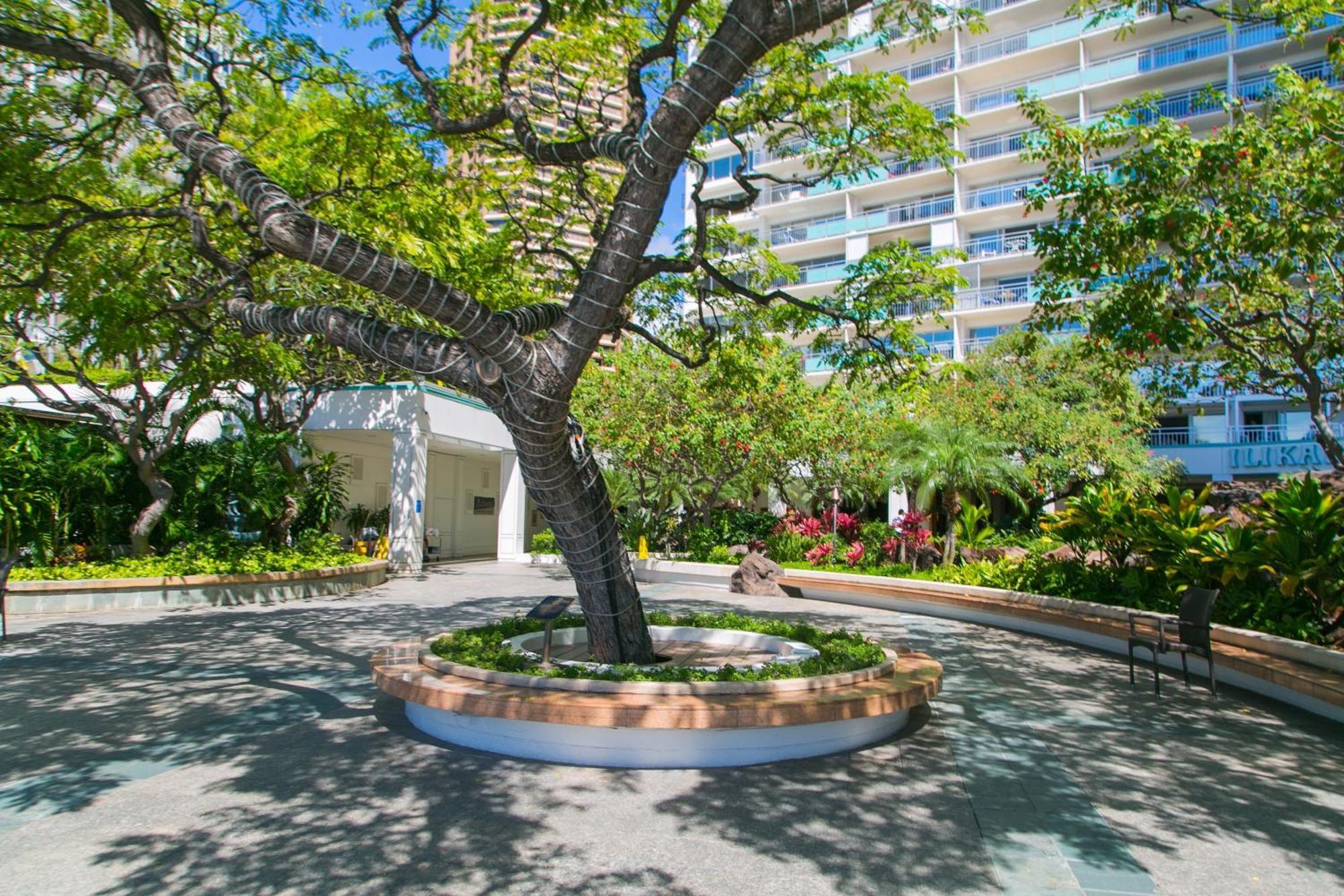 Ilikai Tower 1340 Lagoon View 1Br Honolulu Bagian luar foto